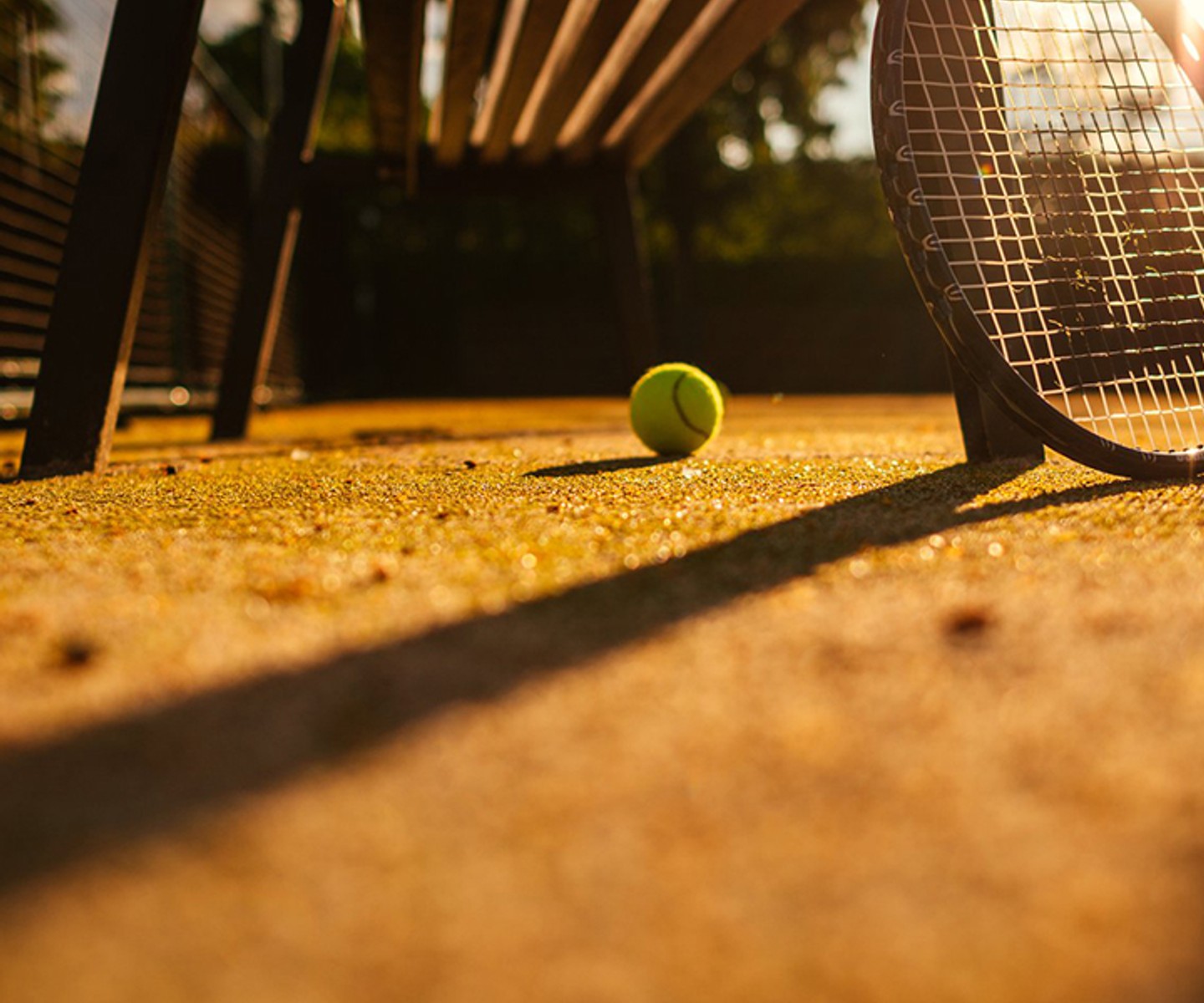 tenis-badminton.jpeg