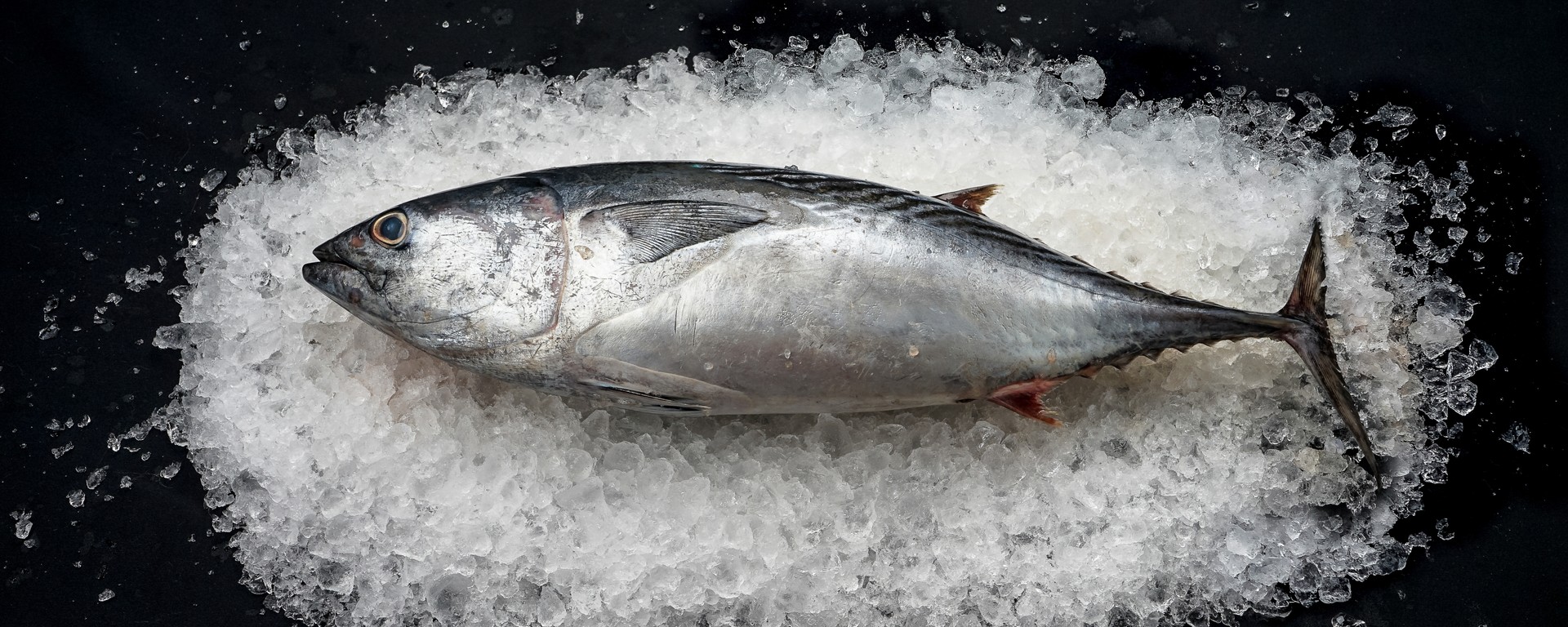 shutterstock_2174172637.jpg